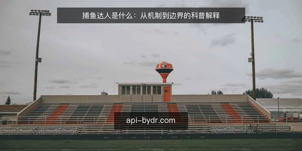 捕鱼达人是什么：从机制到边界的科普解释 — 捕鱼达人到底指什么 配图